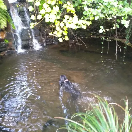 Canastro Каштелу-ди-Пайва