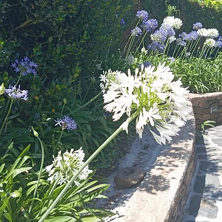 Canastro * Castelo de Paiva