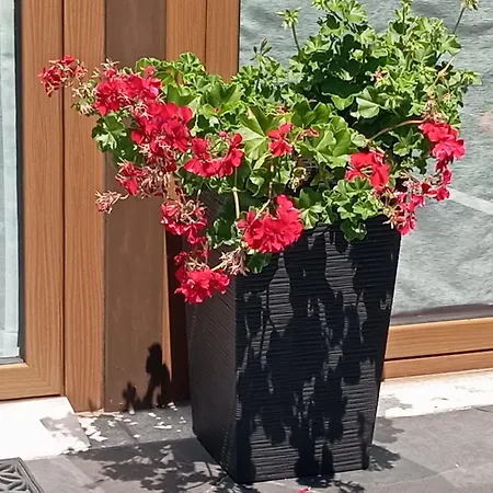 Летний дом Canastro Каштелу-ди-Пайва