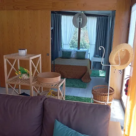 Canastro Castelo de Paiva