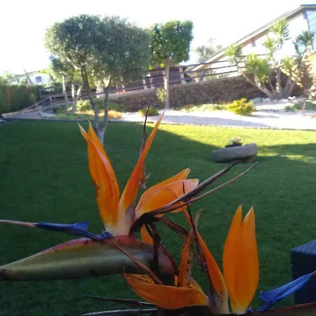 Séjour à la campagne Canastro Castelo de Paiva