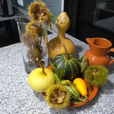 Canastro * Castelo de Paiva