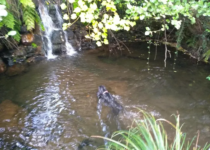 Canastro Castelo de Paiva