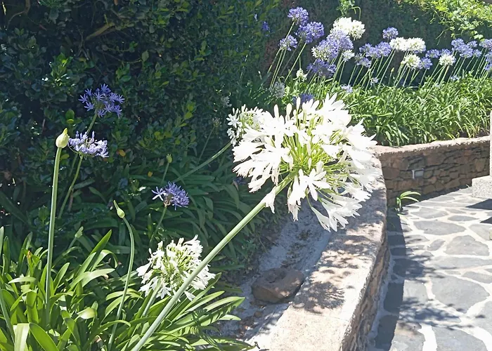 Canastro * Castelo de Paiva