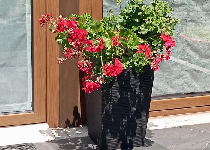 Landhuis Canastro Castelo de Paiva