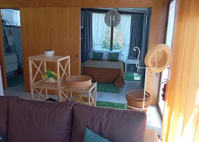 Canastro Castelo de Paiva