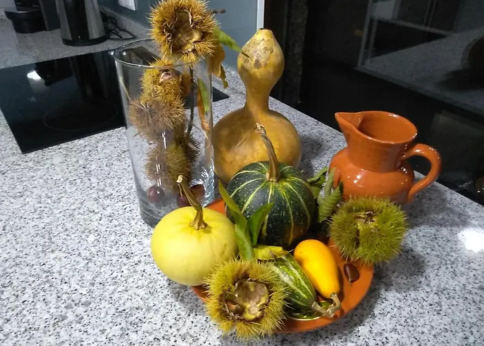 Canastro * Castelo de Paiva